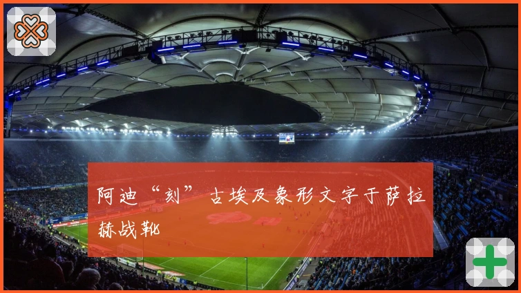 阿迪“刻”古埃及象形文字于萨拉赫战靴