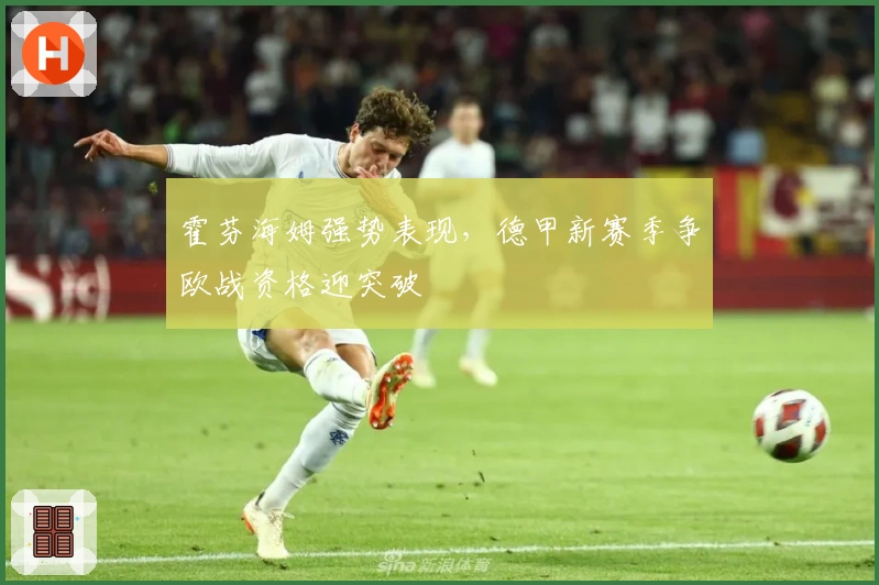 霍芬海姆强势表现，德甲新赛季争欧战资格迎突破