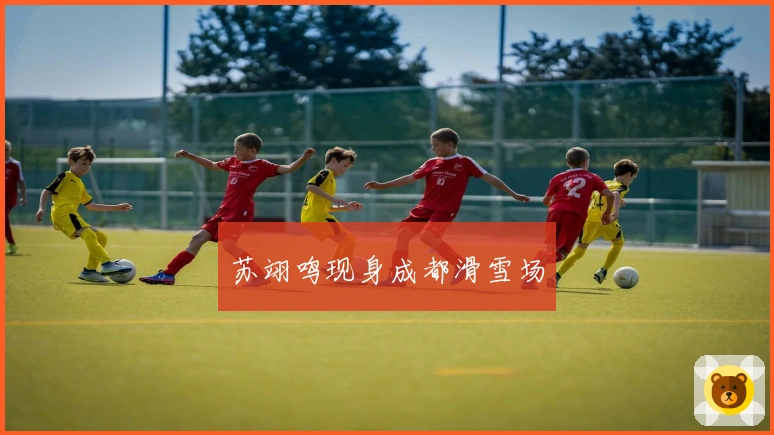 苏翊鸣现身成都滑雪场